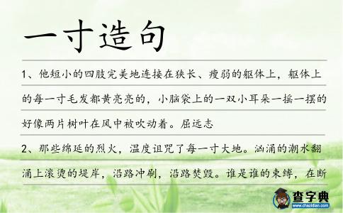 一寸造句