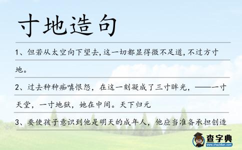 寸地造句