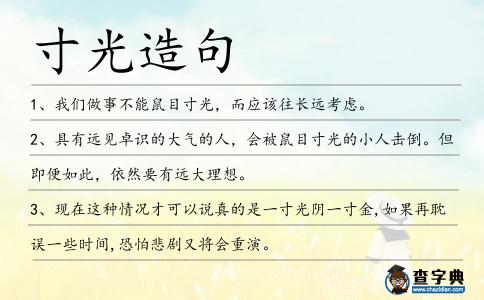 寸光造句