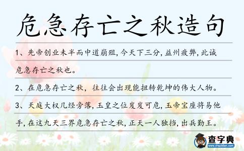 危急存亡之秋造句
