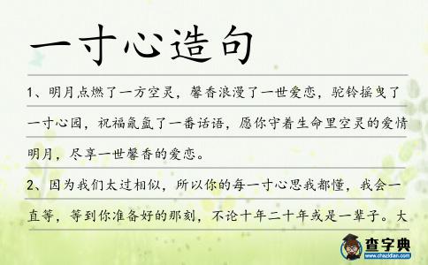 一寸心造句