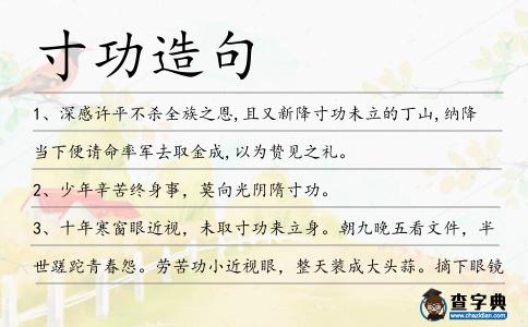 寸功造句