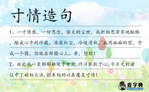 寸情造句