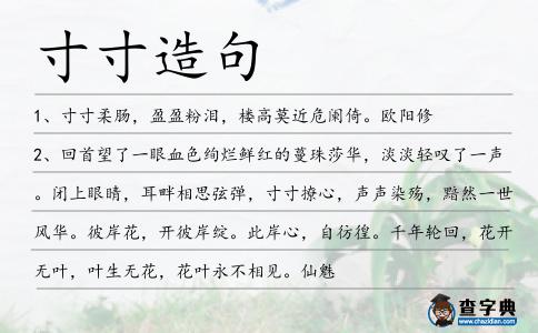 寸寸造句