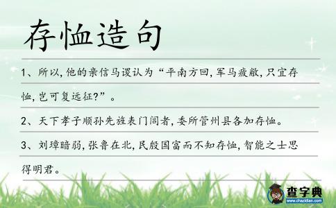 存恤造句