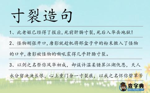 寸裂造句