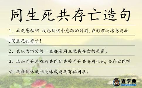 同生死共存亡造句