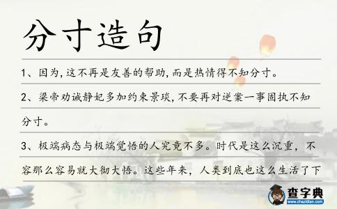 分寸造句