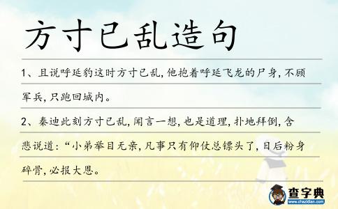 方寸已亂造句