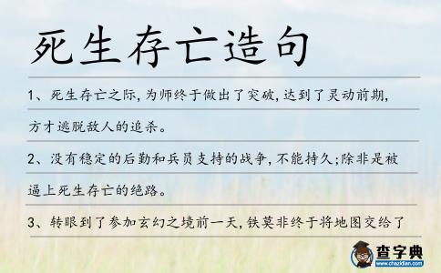 死生存亡造句