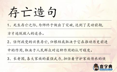 存亡造句