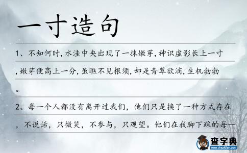 一寸造句