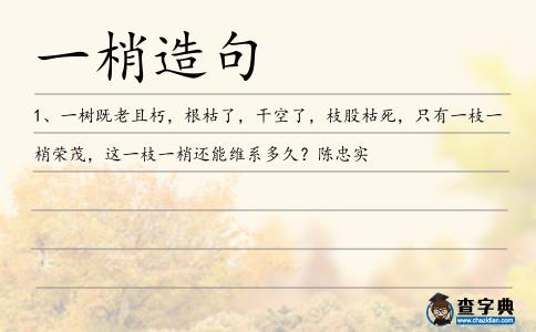 一梢造句