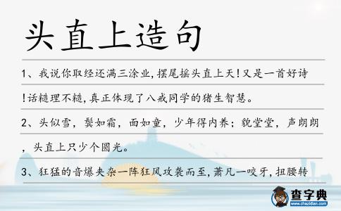 頭直上造句