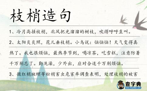 枝梢造句