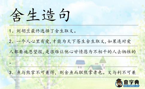 舍生造句