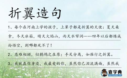 折翼造句