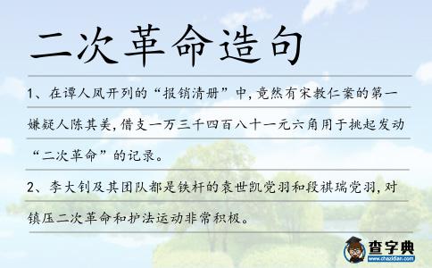 二次革命造句