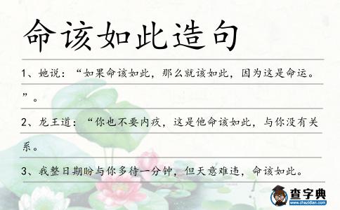 命該如此造句