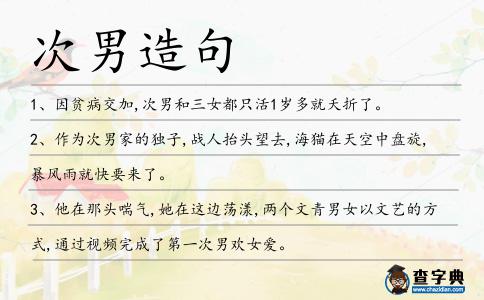 次男造句