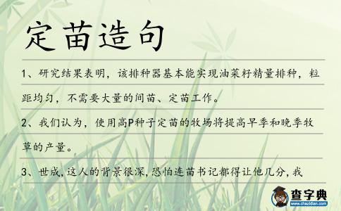 定苗造句