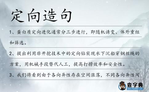 定向造句