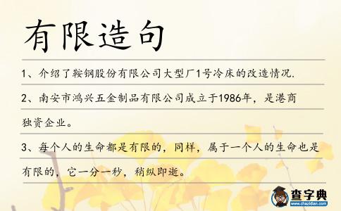 有限造句