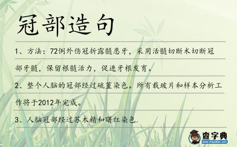 冠部造句