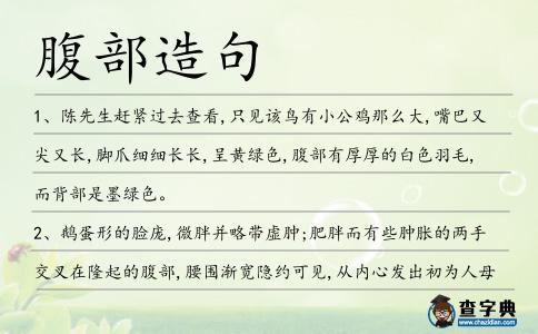 腹部造句