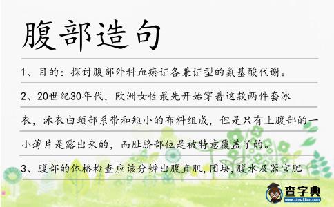 腹部造句