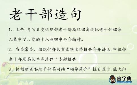 老干部造句