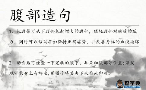 腹部造句