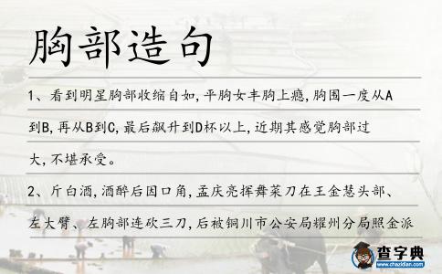 胸部造句