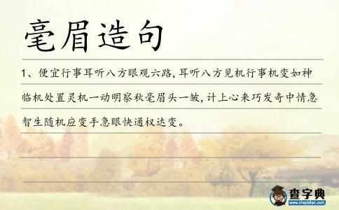毫眉造句