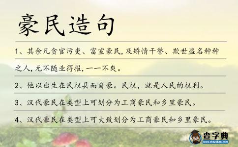 豪民造句
