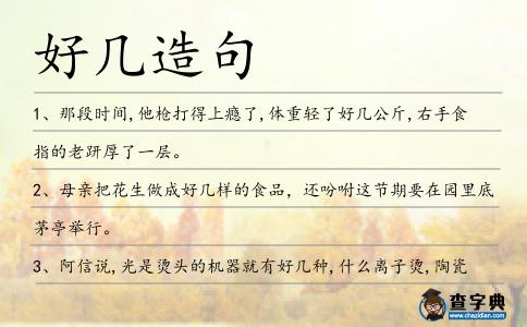 好幾造句