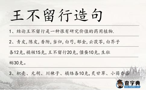 王不留行造句