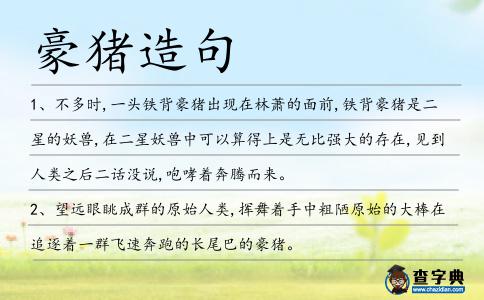 豪豬造句