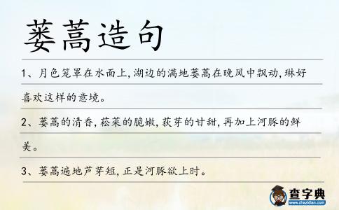 蔞蒿造句