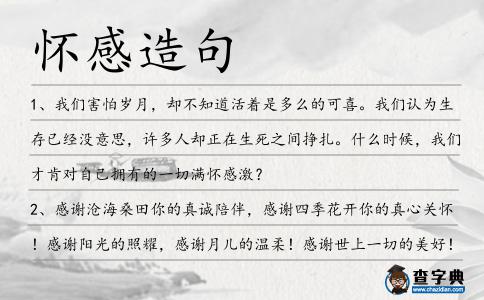 懷感造句