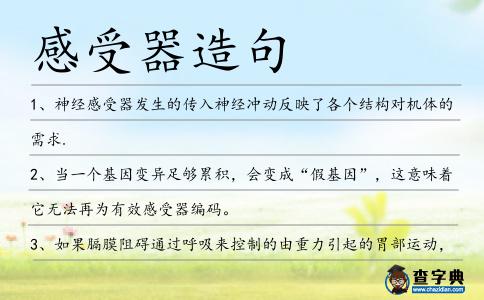 感受器造句