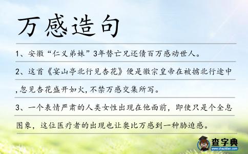 萬感造句