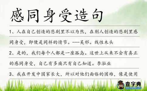 感同身受造句