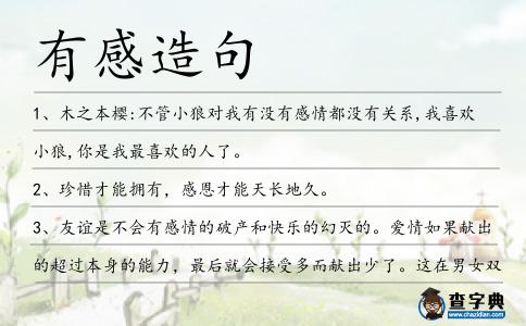 有感造句