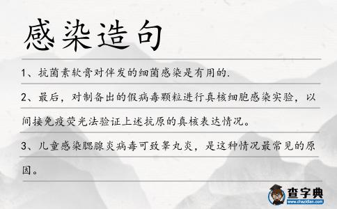 感染造句