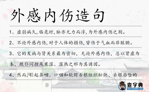 外感內(nèi)傷造句