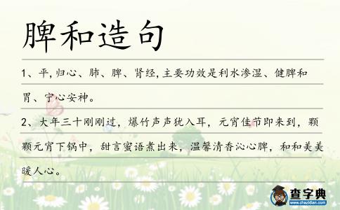 脾和造句