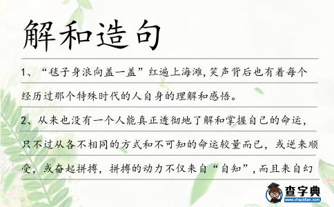 解和造句