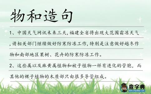 物和造句