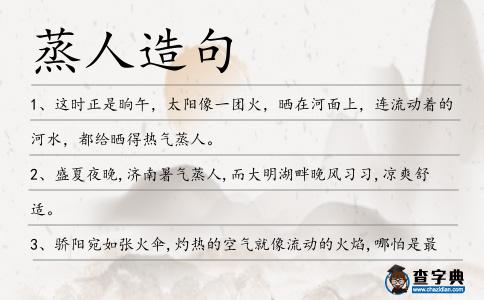 蒸人造句
